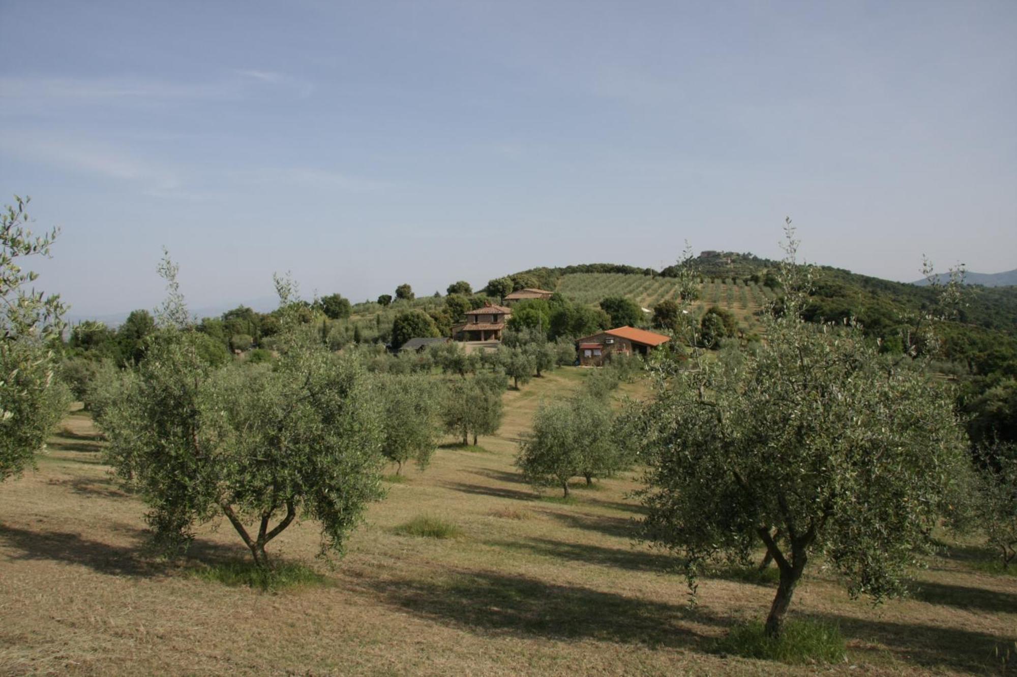 The Country House Montali Tavernelle  Экстерьер фото
