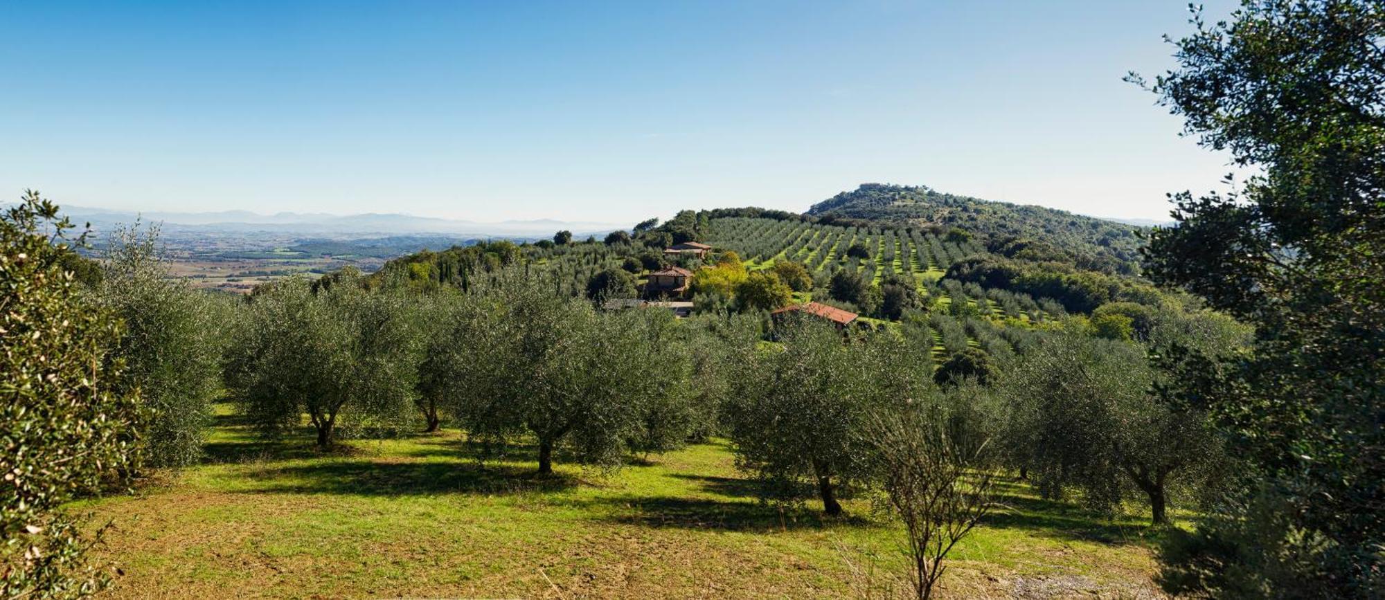 The Country House Montali Tavernelle  Экстерьер фото