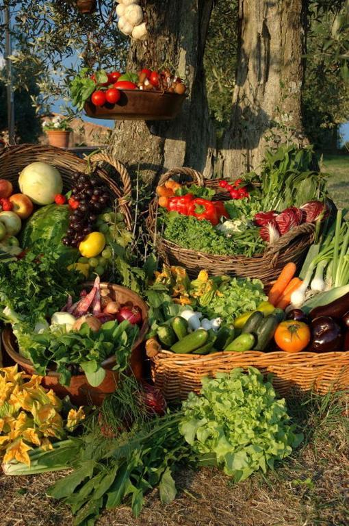 The Country House Montali Tavernelle  Экстерьер фото